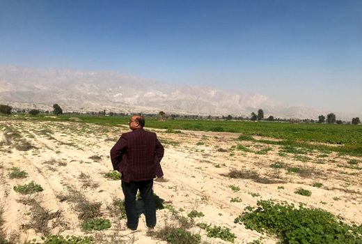 اجرای بزرگترین طرح انتقال فضای باز سبزی و‌صیفی به محیط گلخانه