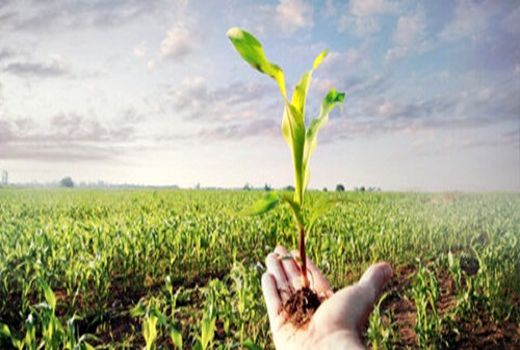 اقدامات ترویجی جهاد کشاورزی امر به معروف است 