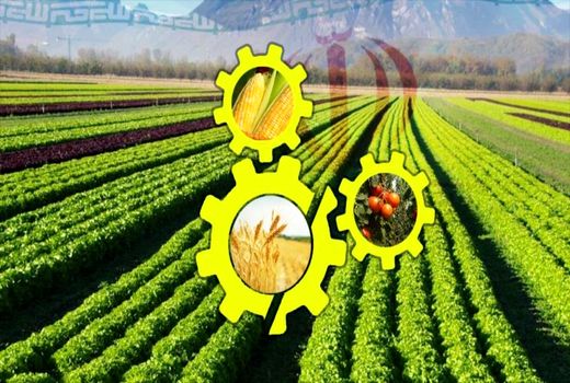 تشکیل جلسه مجازی توجیهی طرح یاوران تولید در استان تهران