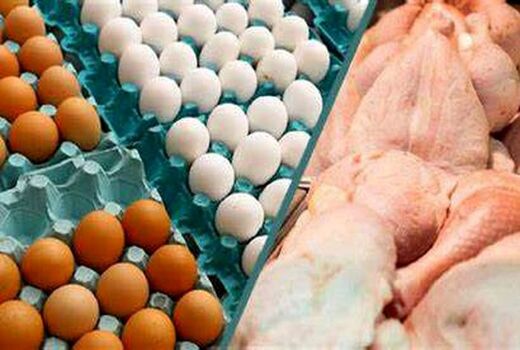 تامین پشتوانه ذخایر کالاهای اساسی در گیلان/ توزیع روزانه ۴۰ تن تخم مرغ در استان