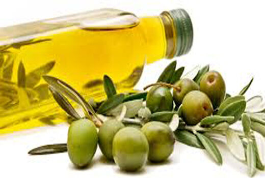 ۲هزار تن روغن زیتون در طارم تولید می‌شود