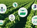 نخستین گام برای دانش‌بنیان‌سازی کشاورزی با هدف توسعه بازار و صادرات برداشته شد