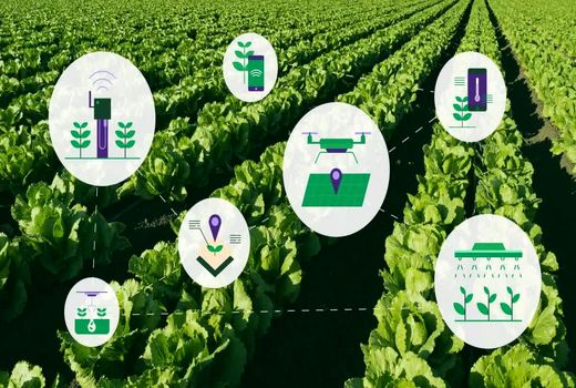 نخستین گام برای دانش‌بنیان‌سازی کشاورزی با هدف توسعه بازار و صادرات برداشته شد