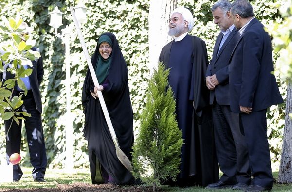 درخواست رییس جمهوری برای برخورد قاطع با آسیب زنندگان به جنگلها، طبیعت و محیط زیست
