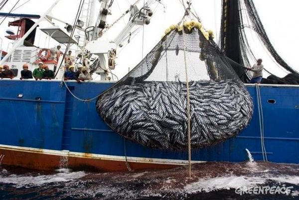 بزرگ‌ترین بندر ماهیگیری خاورمیانه در عمان راه‌اندازی می‌شود/ عمان 20 بندر دارد/ عمان امیدوار است به 10 تا 15 هزار فرصت شغلی جدید تا سال 2020 دست یابد