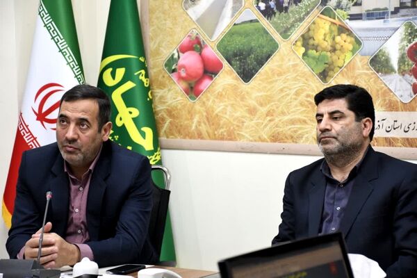 جذابیت سرمایه‌گذاری در حوزه زراعت چوب 