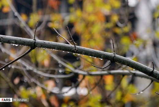 افزایش 292 درصدی بارندگی‌ها 