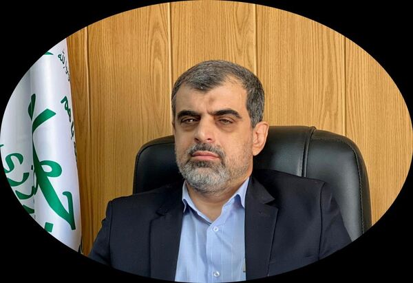 تحقق ۵۰ درصد پیش بینی در خصوص خرید حمایتی دام سبک و سنگین 