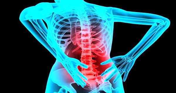 درمان کمردرد با خوردن جیرجیرک/ از کباب خوشمزه‌تر است!
