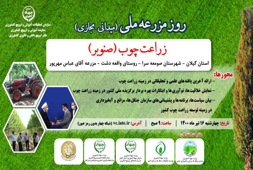 اجرای طرح زارعت چوب در سطح 40 هزار هکتار 