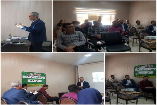 توسعه کشت گیاهان دارویی در شهرستان جم 