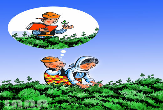 روز جوان -کارتون فیروزه مظفری