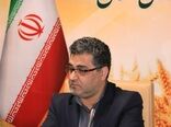 ۲۴۰۰ تن برنج تنظیم بازار در استان کردستان توزیع می شود