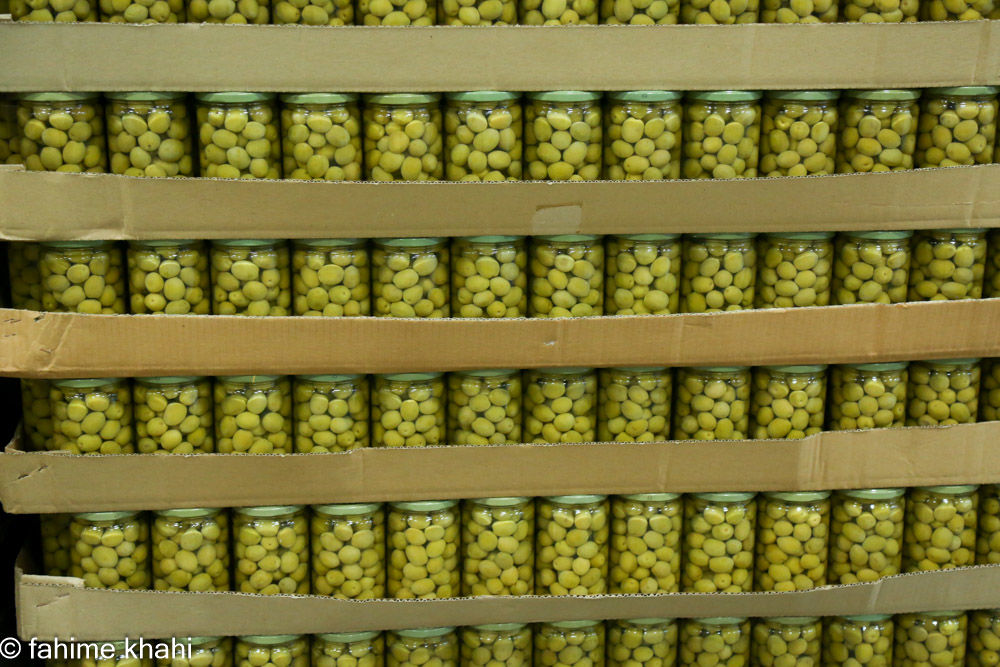 از لمس شاخه تا عصاره ی نور  