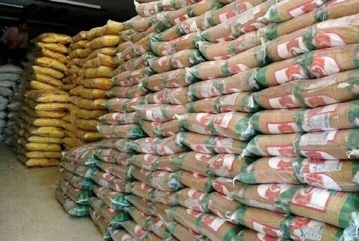 توزیع بیش از ۵۵۰ تن برنج و شکر در قزوین به منظور تنظیم بازار و حمایت از مصرف‌کنندگان