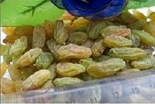 صادرات بالغ بر 6900 تن محصول کشمش استان زنجان در سال 1398