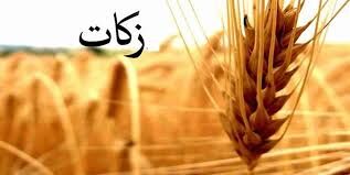 کشاورزان خراسان شمالی بیش از ۱۴ میلیارد تومان زکات پرداخت کردند