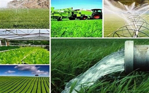 اولویت کشاورزی قراردادی در استان کرمان