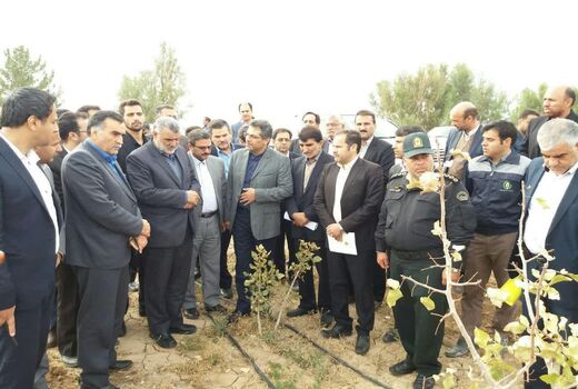 بازدید از مزرعه الگویی خارشتر در قاینات