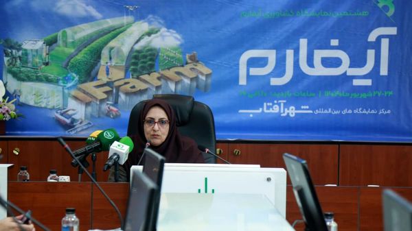 سهم ۵۰ درصدی بخش باغبانی از صادرات کشاورزی/۸۰۰ هزار تن انواع محصولات گلخانه‌ای صادر شد