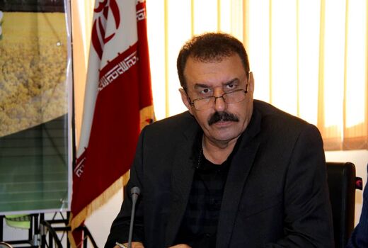 تولید 100 تن بذر کلزا مازاد بر نیاز استان