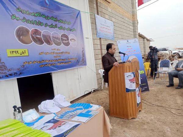 اجرای پروژه مولدسازی ماهی سی‌باس با هدف قطع واردات در خوزستان