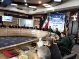 مشارکت بسیجیان استان البرز در افزایش بهره‌وری محصولات راهبردی و تولید گوشت قرمز 