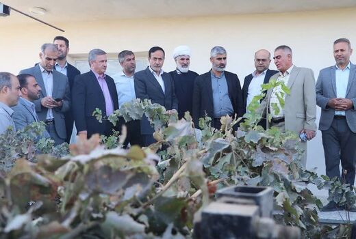بازدید معاون وزیر جهاد کشاورزی از باغ داربستی مدرن انگور در اسفرورین تاکستان
