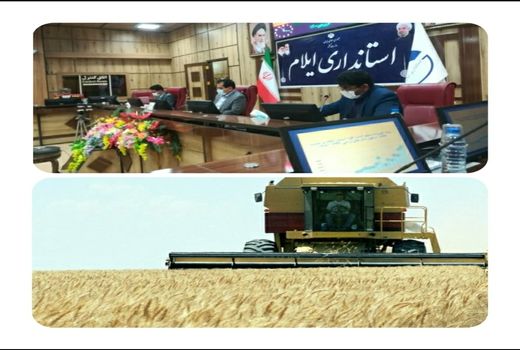 برگزاری جلسه هماهنگی برداشت غلات و دانه های روغنی در استان ایلام