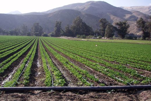 2 طرح سامانه نوین آبیاری در شهرکرد افتتاح شد