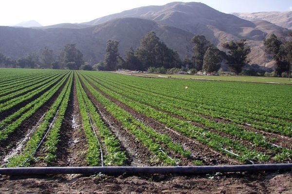 2 طرح سامانه نوین آبیاری در شهرکرد افتتاح شد