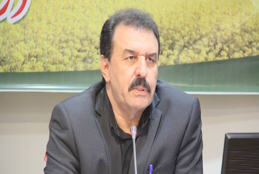 توزیع 340 تن بذر گواهی شده کلزا در شهرستان‌های استان خوزستان