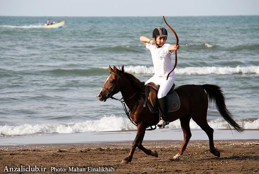 اسب کاسپین در مسیر ثبت جهانی