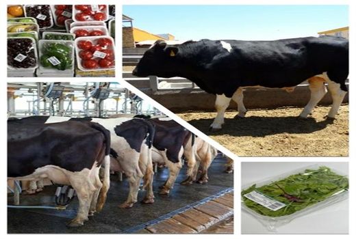 پرداخت تسهیلات اشتغال روستایی و عشایری در ایلام