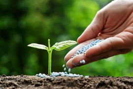 توزیع 8 هزار تن کود کشاورزی در دشتستان