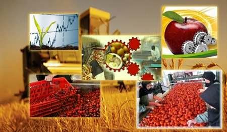 ایجاد حلقه زنجیره تولید عامل افزایش ارزش افزوده کشاورزی