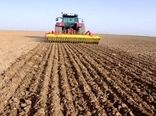 تحقق ۴۲ درصدی برنامه کشت غلات در قزوین
