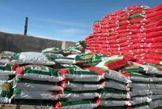 توزیع بیش از 286 هزارتن انواع کود شیمیایی در خوزستان