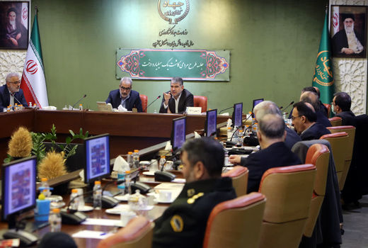 ضرورت مشارکت وزارت آموزش و پرورش و صدا و سیما در اجرای طرح مردمی کاشت یک میلیارد درخت در کشور