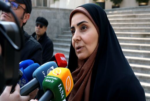 مشکل بیمه سبز و ویزای رانندگان پیگیری می‌شود