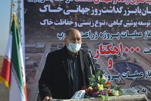 زراعت چوب نقش بی بدیلی در اقتصاد مقاومتی دارد