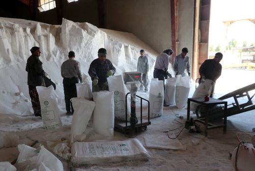 روند صعودی کیسه‌ گیری کودهای فله در آذربایجان غربی