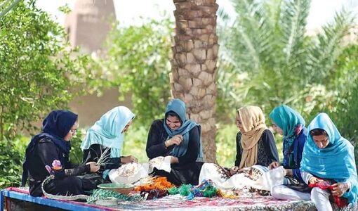 پیشنهاد تشکیل «شورای راهبردی کسب‌وکارهای خرد زنان روستایی» به استانداری‌ها
