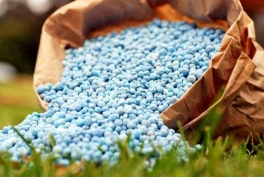 تامین و توزیع بیش از ۴ هزار تن کود کشاورزی در استان بوشهر