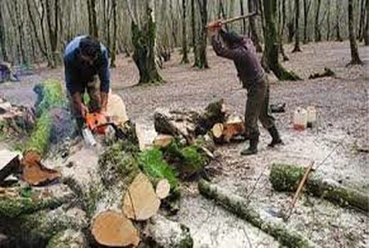 نیازمند تصویب قانون جامع منابع طبیعی هستیم