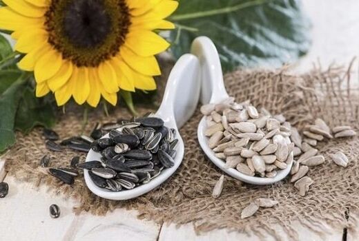 آذربایجان غربی رکورددار تولید تخم کدو و آفتابگردان آجیلی در کشور