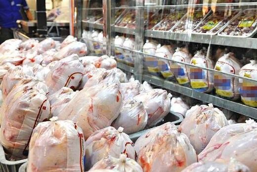 توزیع 452 تن مرغ گرم در قزوین در 4 روز