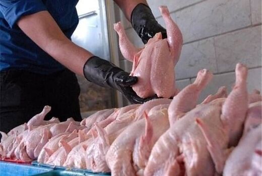 تداوم برقراری ثبات در بازار مرغ با جوجه ریزی بیش از 48 میلیون قطعه در آذربایجان غربی