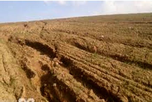 جذب 60 درصدی تسهیلات قرض‌الحسنه ناشی از سیل  در استان مرکزی 