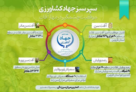 اینفوگرافی | کنترل موفقیت‌آمیز آفت سن غلات در سطح ۹۰هزار و ۹۶۳ هکتار از مزارع استان قزوین